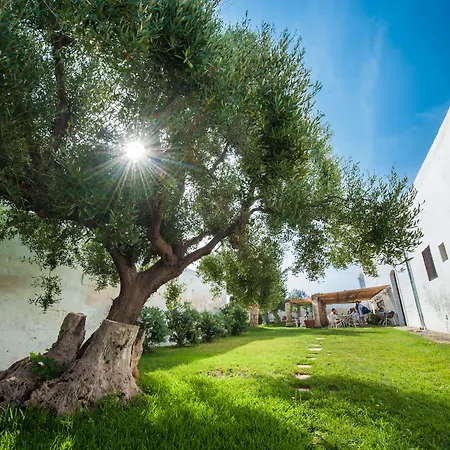 Borgo San Marco-3